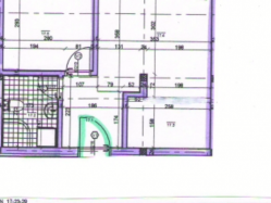 apartment 17