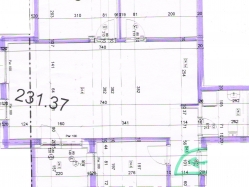 apartment 19
