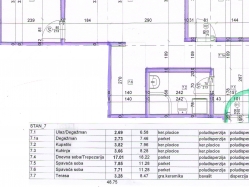 apartment 7